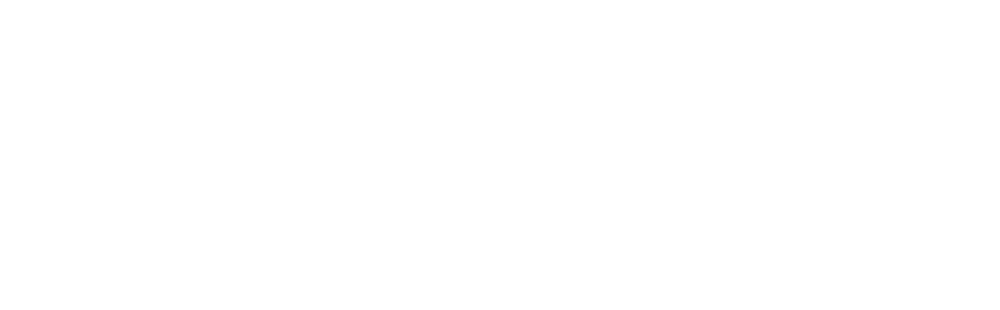 آکادمی کارامانی
